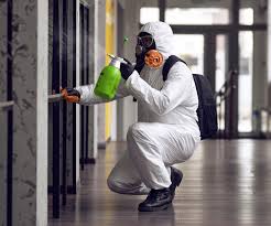 Best Asbestos and Lead Testing During Mold Inspection  in Park City, KS